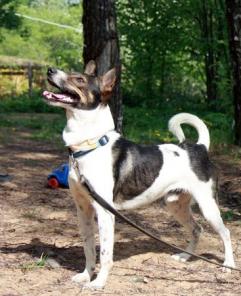 ����� � ���������� ���� ���� �����.