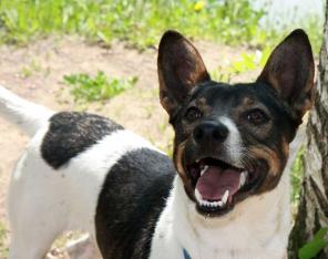 ����� � ���������� ���� ���� �����.