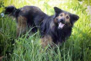 ������ ��� ���� � ������ ����