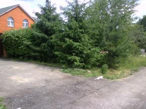 ������ 6�, ������������ ��� ���������, ���, ���