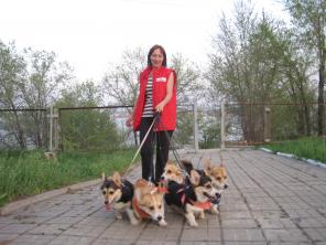 ��������� ��� ������ ����� �� ������ � ��������.� ������ ����� ������