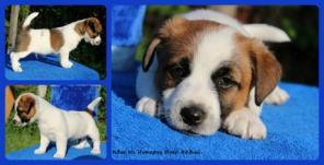 ���� ������ ������. ����� �� ��������� ���