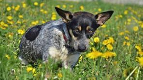 ����� ����� ���� ���� �������!