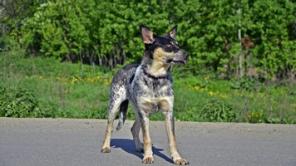 ����� ����� ���� ���� �������!