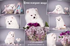 ����� ������ �����