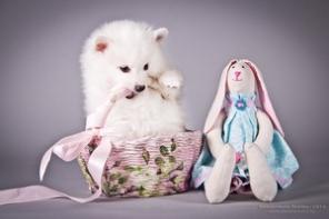 ����� ������ �����