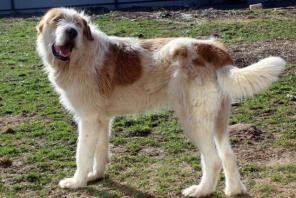 ������������� �� � ���!