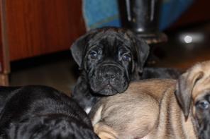 ��������� ����� ���� ����� �� ����������� ��������