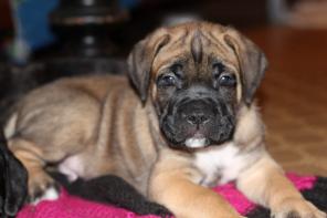 ��������� ����� ���� ����� �� ����������� ��������