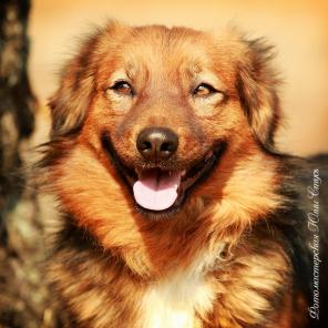 �������� ��������, 3 ����, ���� ���!