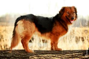 �������� ��������, 3 ����, ���� ���!