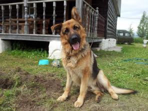 ������ ��, �������.