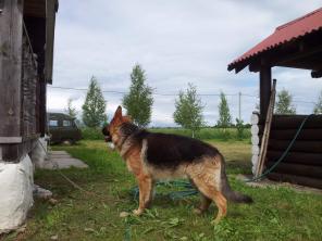 ������ ��, �������.