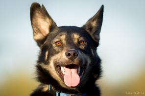 ������. ���������� � ������� � ������ ����!