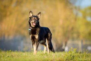 ������. ���������� � ������� � ������ ����!