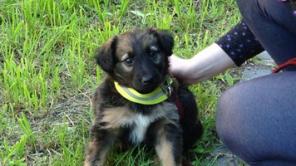 ����� ��� ������ ����������� ���� � ������� ����