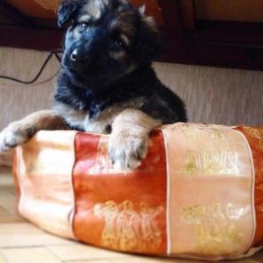 ����� ��� ������ ����������� ���� � ������� ����