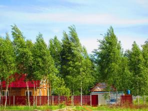 ������� 9 ����� � ������ ������� "����� �����"