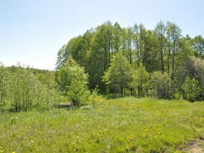 ������� 6 ����� � ������ ������� "������� 2"