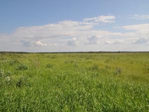 ������� 6 ����� � ������ ������� "�������"