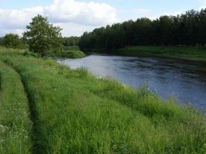 ������� 6 ����� � ������ ������� "�������"