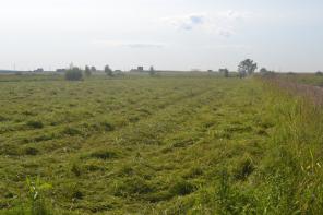 ������� 6 ����� � ������ ������� "����������� ���� 2"