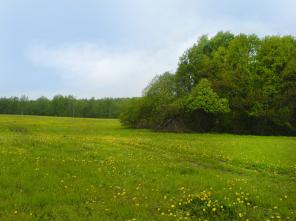 ������� 14 ����� � ������ ������� "��������� �����"