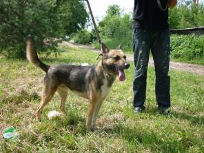 ������ �������� ����� ���� ������ �������