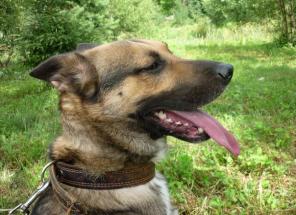 ������ �������� ����� ���� ������ �������