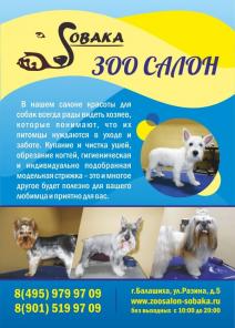 ������� ����� � ����� � �������� �������� "������"