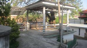 ����, ������� �������� ��� � 100 ���!