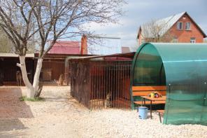 ���������� ��������� ��� �����