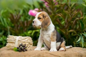 ����� ����� �� ���������