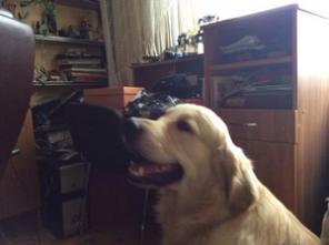 ������� ������ ������ ��������� ���� �������