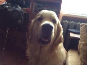 ������� ������ ������ ��������� ���� �������