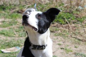 � �����, ��� ����������)