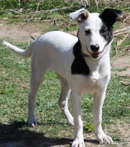 � �����, ��� ����������)