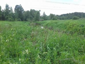 ������� 12 ����� � ������ ������� "�������"