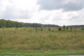 ������� 8 ����� � ������ ������� "�������"