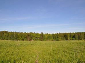 ������� 9 ����� � ������ ������� "������"