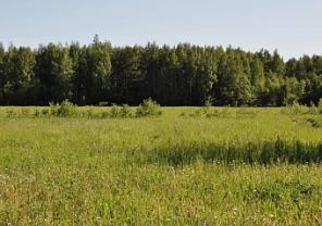 ������� 9 ����� � ������ ������� "������"