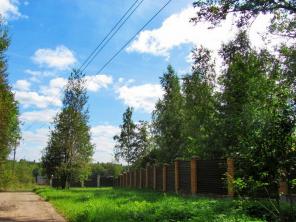 ������� 12 ����� � ������ ������� "������"