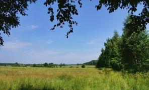 ������� 12 ����� � ���������� ������� "��������� ����"