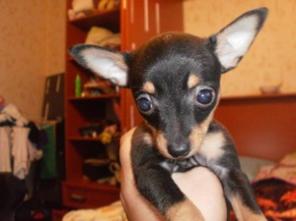 �������� ����� ���-�������, ������� 01.05.2014