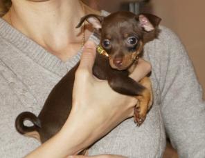 ��������� �����