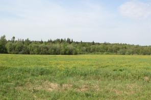 ������ ������� 8 �����. �������� �� ������� �������