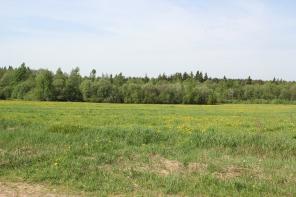 ������ ������� 8 �����. �������� �� ������� �������