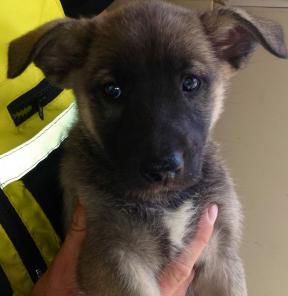 ����� ��������� ����� � ������ ����