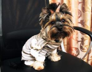 ������� ������, ����, ����� �. �������������