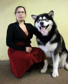 ����� ������������ ��������.